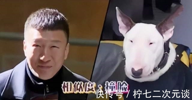 杨过|张纪中上节奚落全员,笑侃孙红雷眼小,黄子韬松垮,还说那英不红