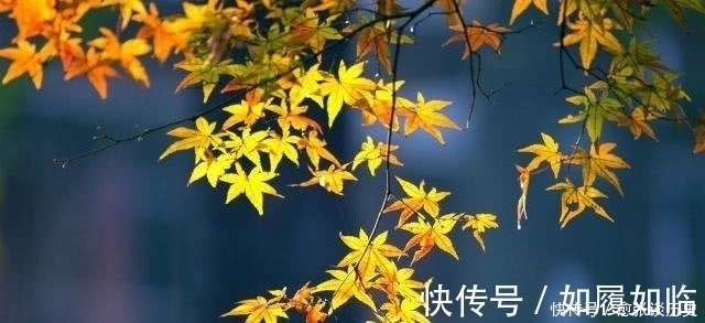 千古名句$辛弃疾此词开篇是千古名句,读一遍就能记住,800年无名家点评