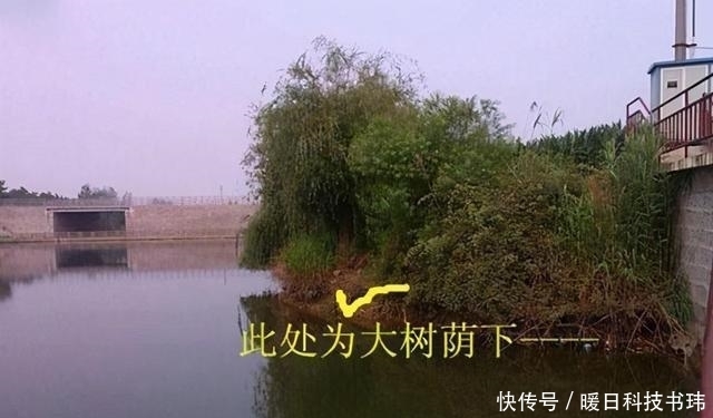 地方|这里的五个地方堪称“黄金宝座”,夏季钓鱼不能错过