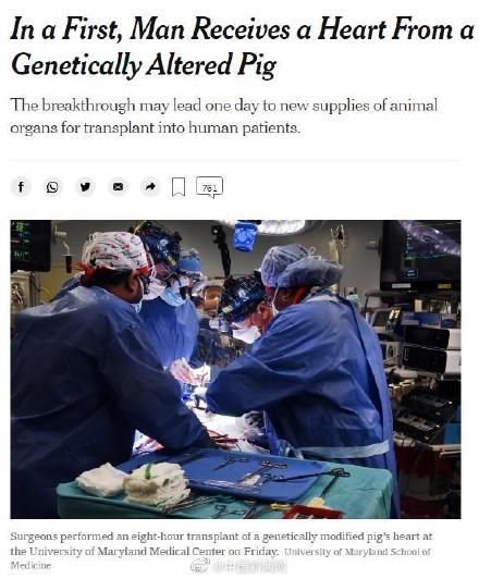 植入|猪心脏成功植入人体系全球首例