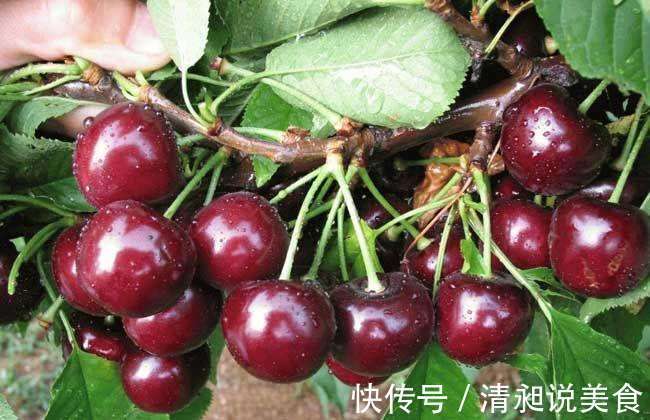 妈妈们|在怀身孕后,有3类食物让孕妈常吃能改善皮肤,帮助宝宝大脑发育