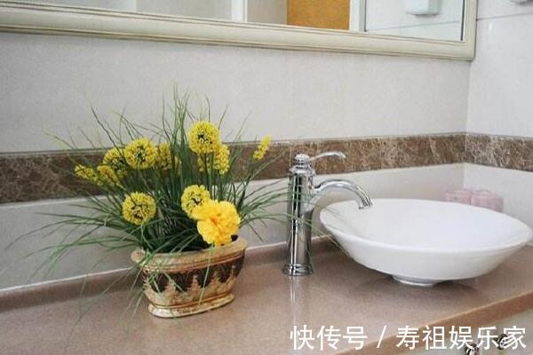 卫生间|还担心卫生间潮湿反味五个细节做到位,从此远离“脏乱臭”