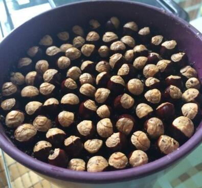 吃水果时挖一勺子，洗洗扔盆里，20天发芽成盆栽，结的果子吃不完