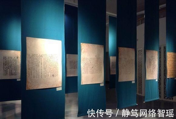 英文#植物大战僵尸:它们能够取代坚果家族?站着不动都能消灭僵尸!