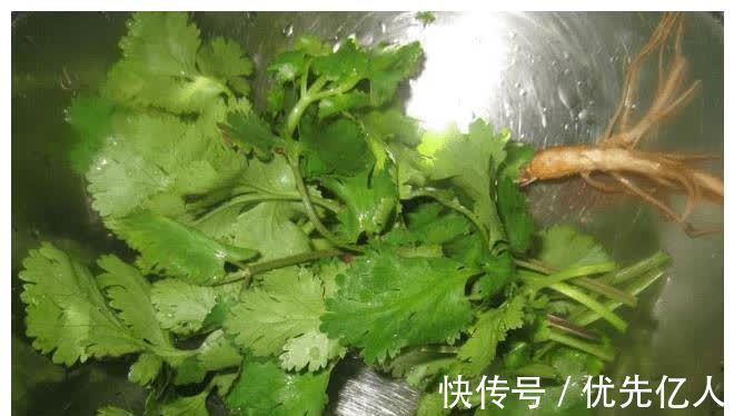 香菜汤|一碗香菜汤,不用下药方,有三个神奇作用,值得你来点开看看