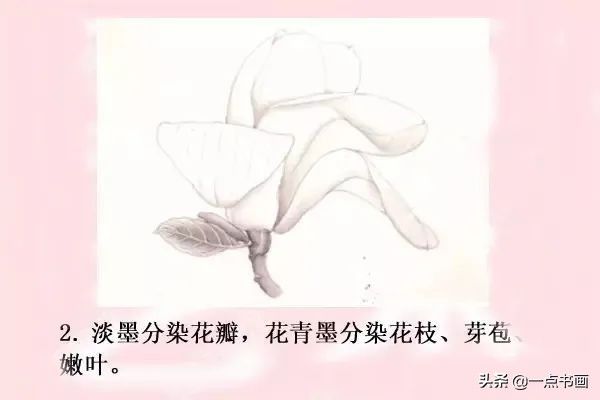 鸳鸯#图文教程——工笔玉兰画法