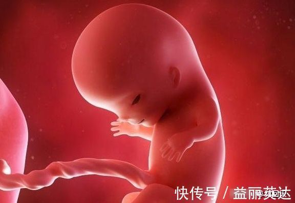 胎儿|叶酸服用多久会比较好?关于叶酸的这些小秘密,或许你该了解!