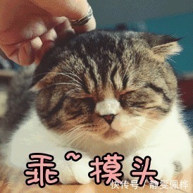 泡面|减肥公认的4条真理，牢记这些再开始，很快就能瘦到90斤！