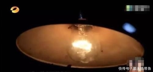  生病|《变形记》神仙妹妹梁小友：因父亲生病辍学，今成网红捞金惹争议