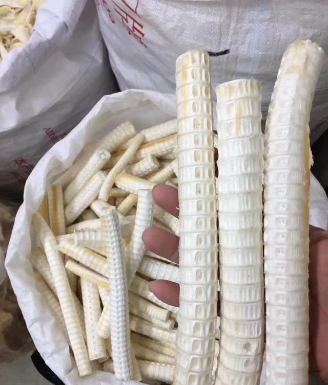 植物蛋白|骨科医生不想骨头又脆又软,常吃3物,做1事,到老不骨质疏松!