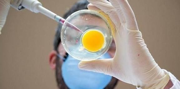 年龄|夫妻年龄相差这个“数”,孩子的智商会更高,不知你在其中吗