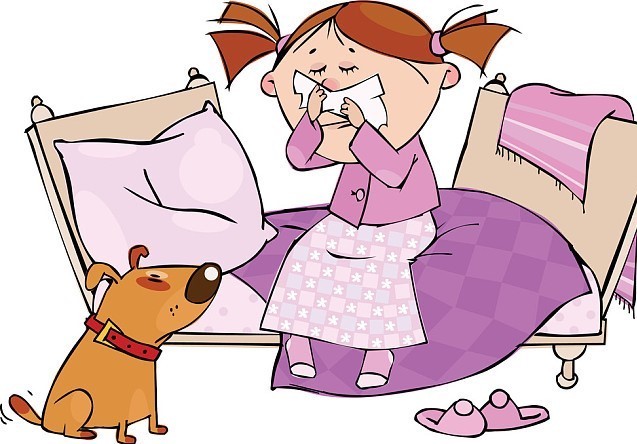 过敏性哮喘|过敏性鼻炎表现与感冒相似,正确区分,要把握4类要点