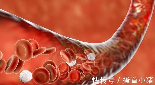 脚尖|每天踮脚尖，坚持一段时间后，身体或许会收获“几大好处”！