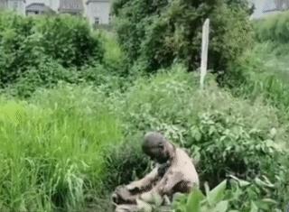 钓鱼误触高压线!嘉兴男子衣服全碎,头成“煤球”,他错在哪里