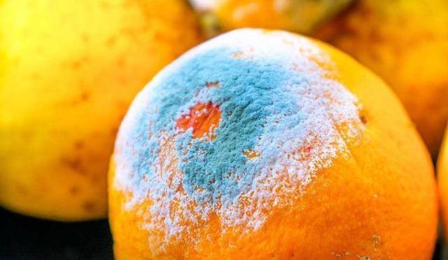 肝病患者|肝不好不能吃西红柿医生建议若想肝脏好,这2种食物要少吃