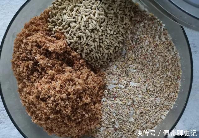 一逗就有口!降温天黑坑偷驴,凭借这一小技巧才拿下坑冠