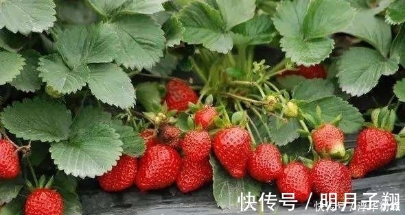 祛斑|用什么祛斑效果最好?这么用居然能祛斑!让你的脸从此白白净净!