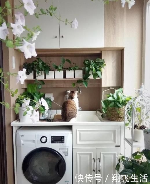 案例|阳台再小,也别乱装!这么装能“一屋三用”,太聪明了!