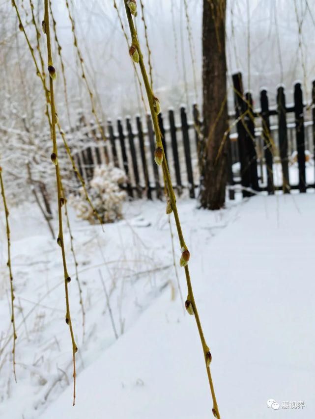 春花春雪春雨绝美春色，这样的易县，你见过吗？春分限定，速度