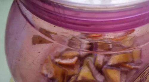 2块香蕉皮,捣成粉末,花盆撒2把不黄叶不烂根,开花爆盆挡不住