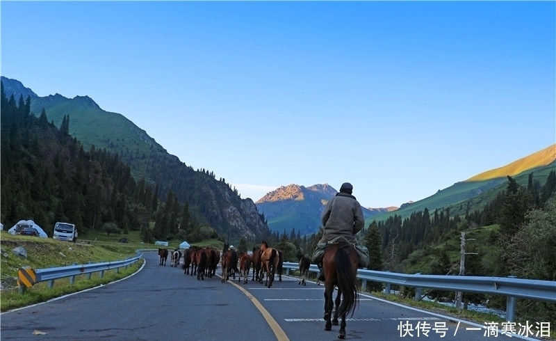 蒙古包|自驾独库公路：那拉提草原牧民，生活过得简单却都是百万富翁