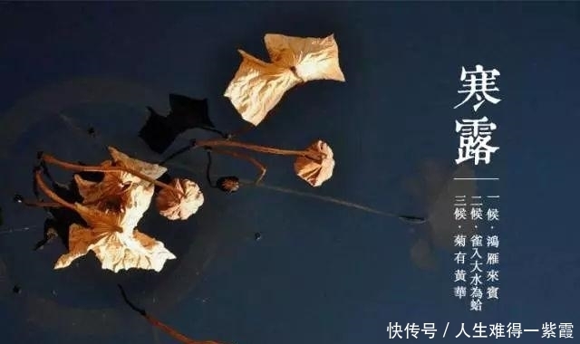 至,农谚寒露过三朝,迟早一齐标啥意思?