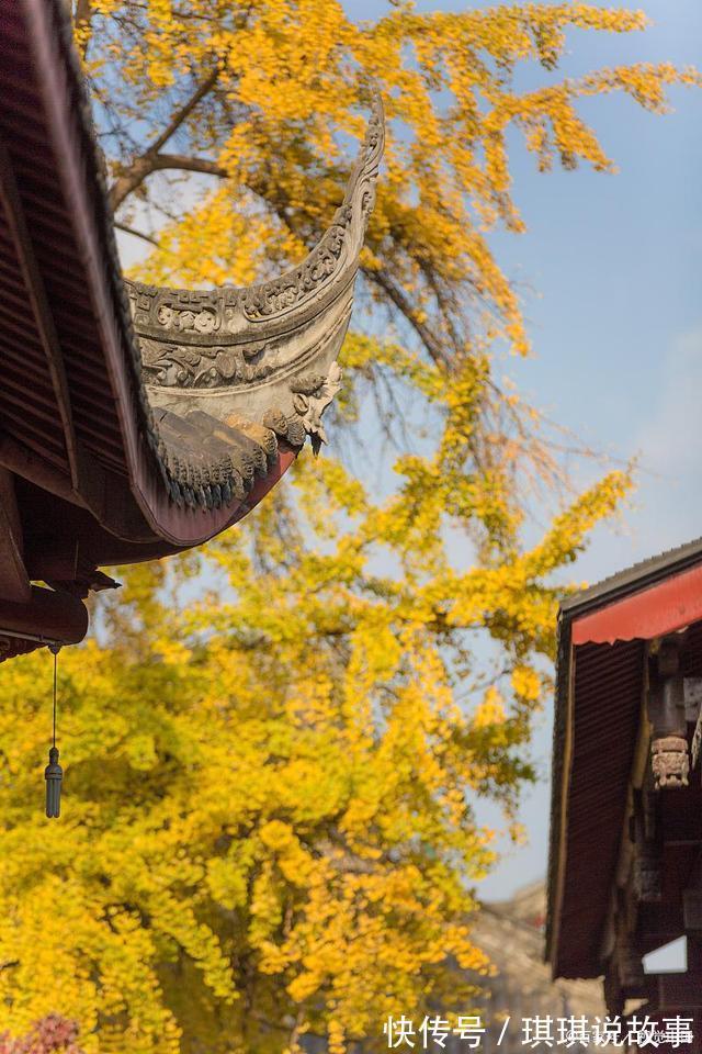 相思@《知秋》——一叶落秋,相思亦愁