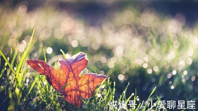 新年期间，运势顶呱呱，事业顺风顺水，生活其乐无穷的3星座