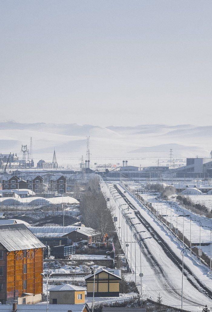 魅力雪境-与福克斯一起探索呼伦贝尔的冬天