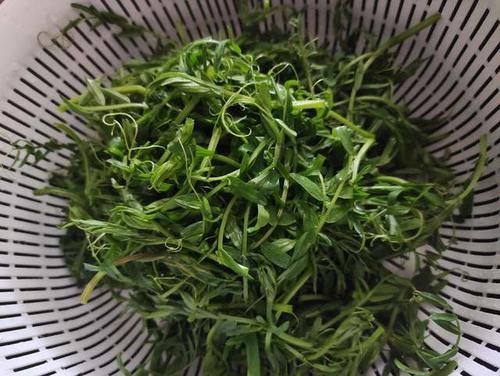  好吃|这是什么野菜，你知道吗？3块钱买了一袋，炒出来比豌豆尖还好吃