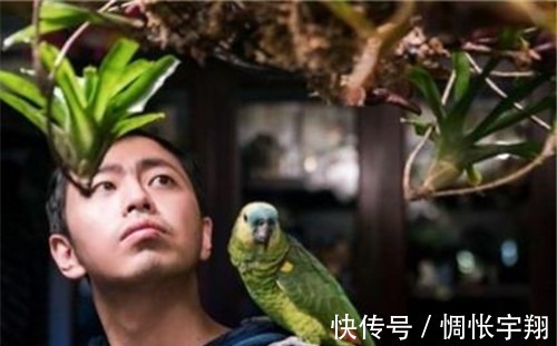 王昱珩清华毕业不上班,养个女儿不上学,把生活过成想要的样子