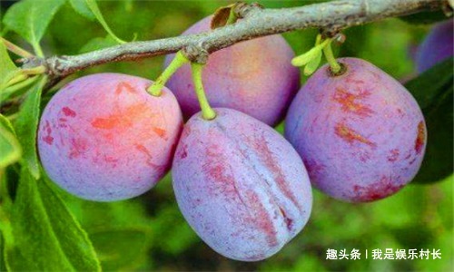 长寿|人到中年想长寿,不妨多吃4种食物,排出毒素,净化血液