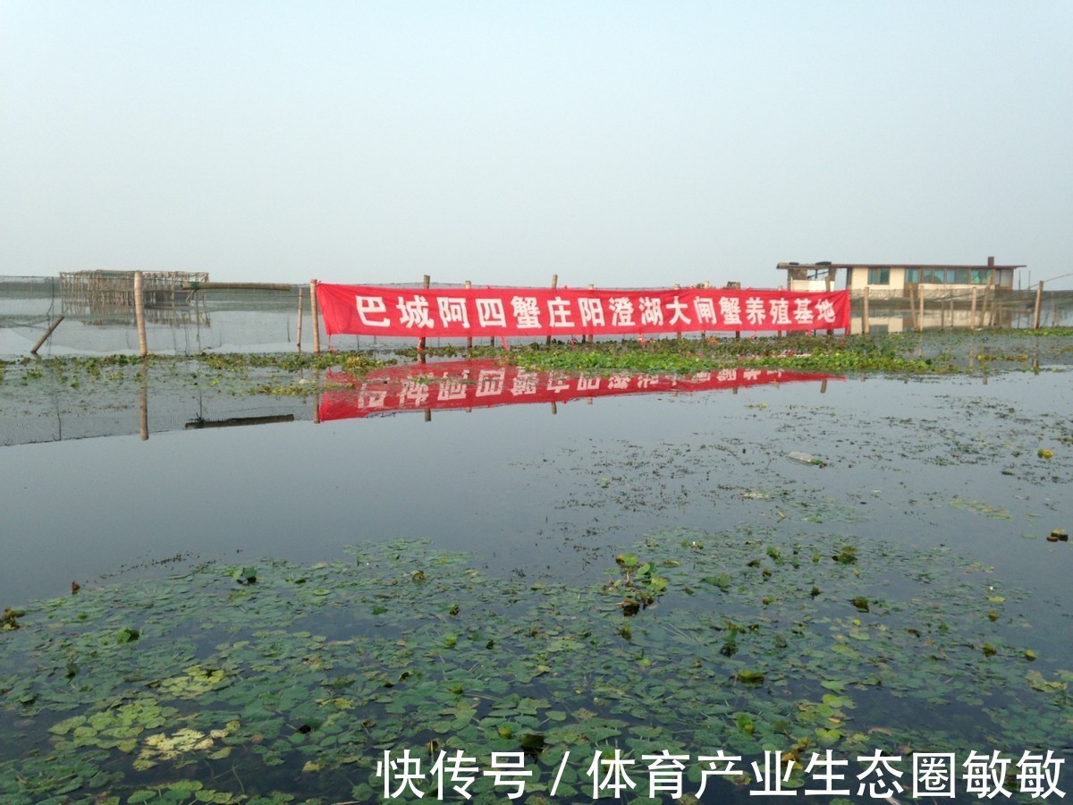 美食|苏州阳澄湖美食，去阳澄湖旅游美食攻略