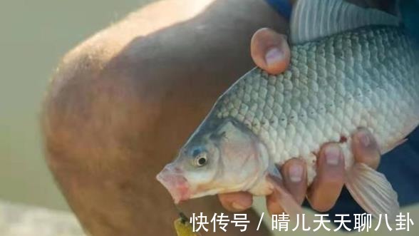 小鱼|野钓“对付”小鱼我从不手软,每次换用这5招,效果不是一般的好