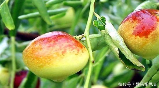 改善|人到中年，多吃以下4种食物，排毒消脂，改善肠胃，滋补身体