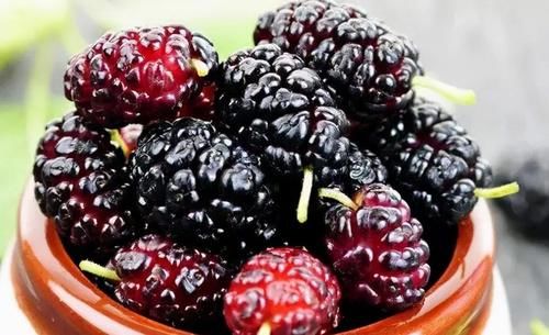 便秘|秋天想肌肤好，坚持吃几种食物，肌肤年轻，改善便秘，吃了变年轻