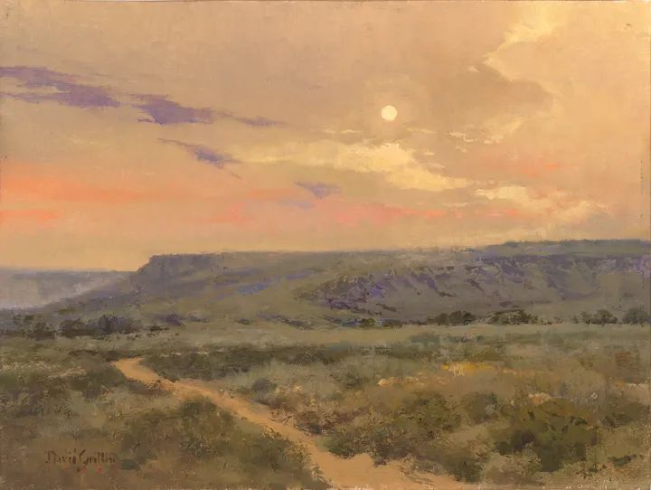 德克萨斯州#大卫·格里芬的风景油画高清图,放大看,更迷人