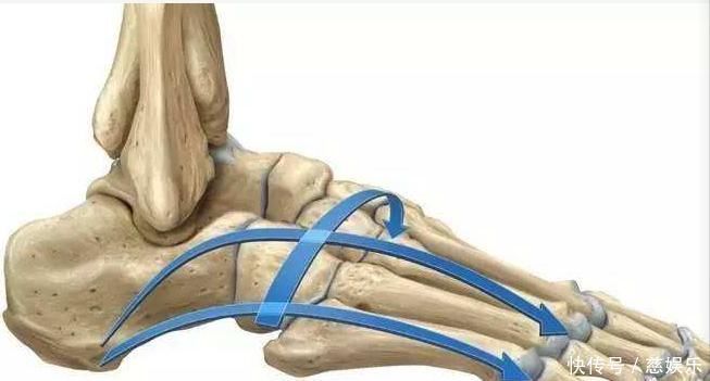 地垫|瑜伽练习如何更稳固5个动作增强足弓,帮助你打好基石