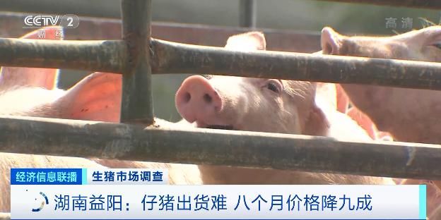 开元棋牌- 开元棋牌官方网站- 开元棋牌APP下载河南农业大学：努力创建“世界一流”兽医学科