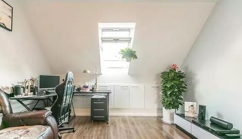 4种花深受花友喜欢,开花爆盆很简单,厨房养2盆,漂亮又净化空气