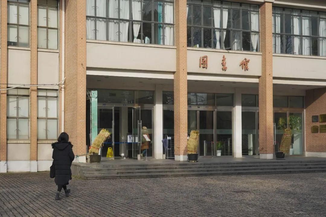 古城|春到同济!太(you)爱(fu)了(li)!