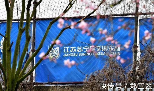 中国足球|年终专稿｜国足一地鸡毛，联赛冰冻三尺，明天和意外哪个先到？