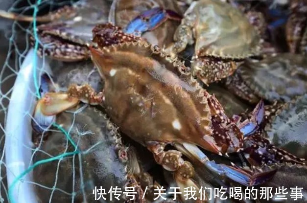 死蟹|挑梭子蟹,个头大未必好,渔民教你4招,个个肉多黄肥,鲜美好吃