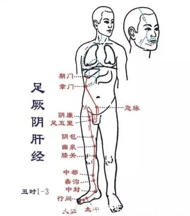  病症|肝为“人体的将军”，了解肝经病症，疏通肝经！