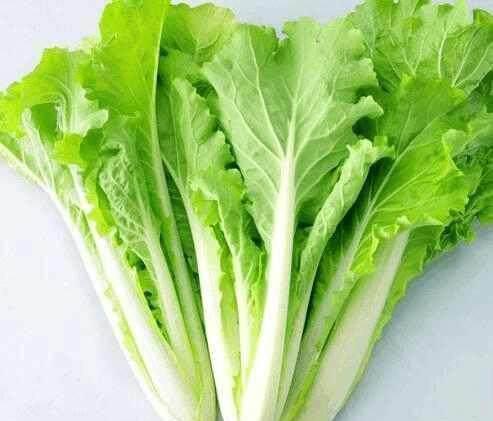 罗阿花|102岁老人,器官年龄只有30几岁!每天就喜欢吃这菜!