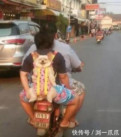 |搞笑GIF:求抱抱,求抱抱,袋鼠卖萌,挡不住啊,挡不住