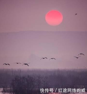 孤寂|苏轼最孤寂的一首词,开篇12个字直指人心,堪称神来之笔