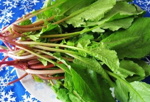 芹菜|人到中年 ,不妨多吃几种食物,润肠通便,呵护身体,提高免疫力