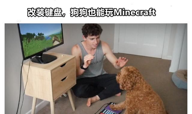 金质 我的世界 为宠物改装键盘 设计app 只为和宠物一起玩mc Minecraft 宠物 游戏 精品游戏指南