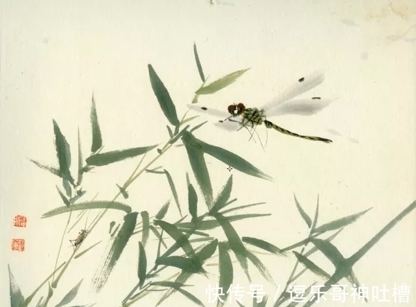 花鸟画!写虫圣手!潘君诺花鸟画